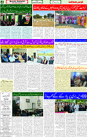 06 Dec 2024 page 4