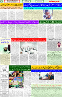 17 Jan 2025 page 4