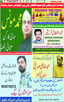 31 March 2025 page 6