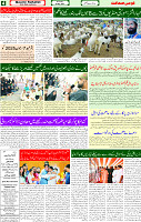 29 May 2025 page 4
