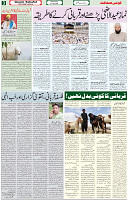 21 July 2021 Page 3