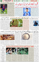 13  Aug 2021 page 7
