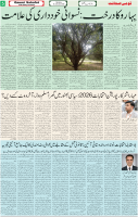 Qaumi Sahafat-05-01-2025-5